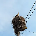 Le Relais De L'ecluse - Nature On An Island *